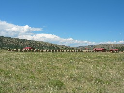 Tent City